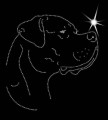 II.Dogo. Argen. Leb. 1. 165x160.jpg