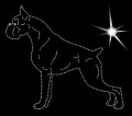 II.Boxer. 2.185x180.jpg