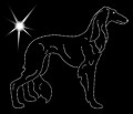 X Saluki. 185x160.jpg