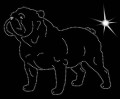 II.Bulldog. 190x155.jpg