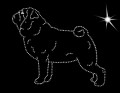 IX Pug. 170x135.jpg