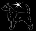 V Podenco. Port. Mini. Wire. 165x145.jpg