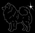 V Eurasier. 150x145.jpg