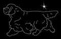 VIII Clu. Sp. 1.190x115.jpg