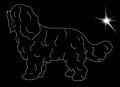I Scha. 200x150.jpg