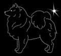 V German Spitz. Mittel 150x145.jpg