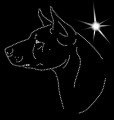 V Thai. Ridgeback. Leb. 180x170.jpg