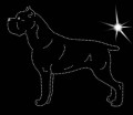 II.Cane. Corso. 2. 180x155.jpg