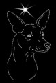 V Xolo. Leb.185x115.jpg