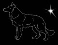 I Whi. Swi. Shep. 190x135.jpg
