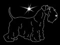 III Cesky terrier .jpg