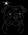 III Stafor. Bull. T. Leb.  170x160.JPG