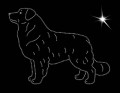 I Aust. Shep. 130x145.jpg
