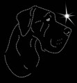 II.Great. Dane. Leb. 1. 175x160.jpg