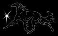X Saluki. move. 210x125.jpg