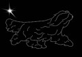 I Bear. C. 200x110.jpg