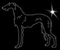 X Span.. Galgo. Wire. 155x140.jpg