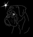 II.Boxer. Leb. 1.165x140.jpg