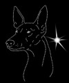 V Ibizan. Hond. Leb. (Pharach. Hond. Leb.) 200x125.jpg