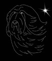 I Bear. C. Leb 185x150.jpg