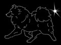 V Jap. Spitz. move. 165x125.jpg