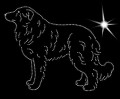 II Estrela. Mount. Dog. 195x145.jpg