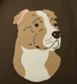 AMSTAFF 5.JPG
