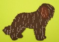 BARBET2.JPG