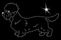 III Dundie diamond terrier .jpg