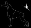 II.Doberm. 2. 180x165.jpg