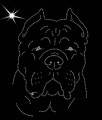 II.Cane. Corso. Leb. 2. 205x140.jpg