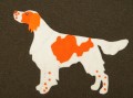 DSC03343 (2).JPG