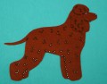 IRL DOW SPANIEL.JPG