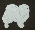 JAPANISE SPITZ.JPG