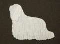KOMONDOR .JPG
