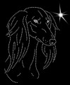 X Saluki. Leb. 195x140.jpg