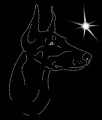 II.Doberm. Leb. 2. 215x155.jpg