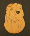 SHAR PEI .JPG