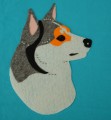 norsk lundehund (2).JPG
