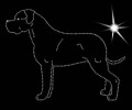 II.Dogo. Argen. 1. 180x140.jpg