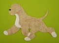 DSC03514 (2).JPG