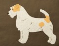 JACK RUSSEL  2.JPG