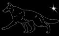I Ger. Shep. 1. 205x115.jpg
