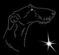 X Span.. Galgo. Wire. Leb. 180x160.jpg