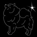 V Keesh_wolf. Sp. 145x140.jpg