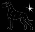 II.Great. Dane. 1. 190x170.jpg