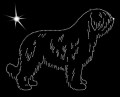 I Rom. Mio. She. 200x155.jpg