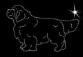 VIII Clu. Sp. 185x120.jpg