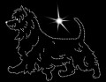 III Australian terrier move .jpg