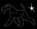 III Welsh. T. move.  170x115.JPG